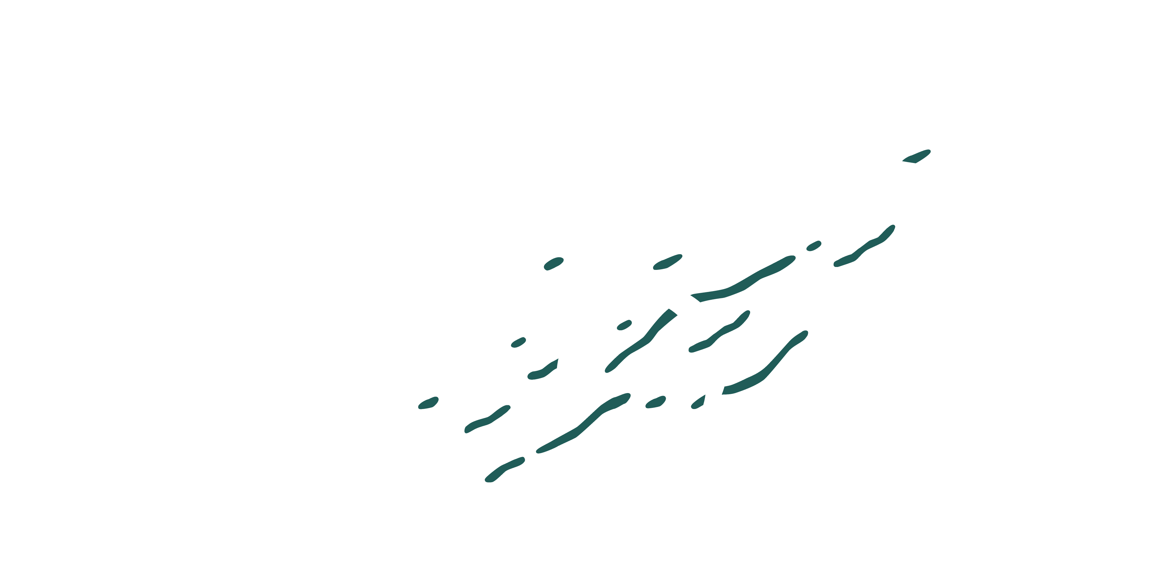 Logo_FLYOS_white